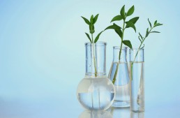 Reducing Oil Dependence Creating Jobs with Sustainable Polyols